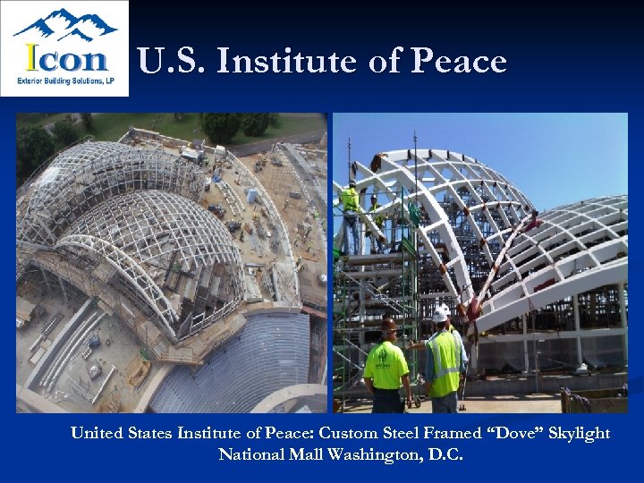 U. S. Institute of Peace United States Institute of Peace: Custom Steel Framed “Dove”