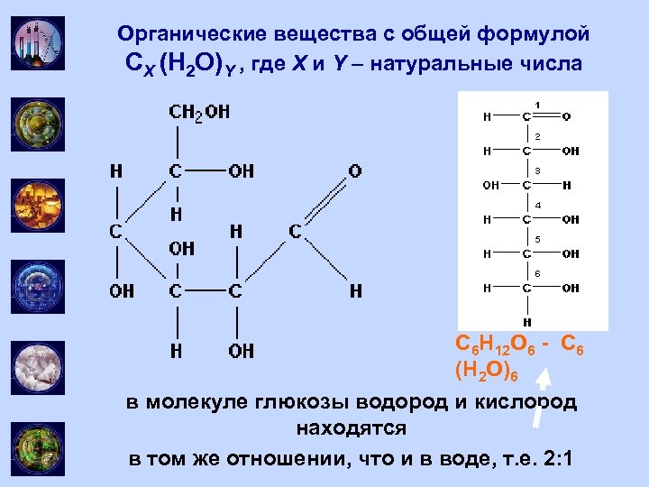 Органические вещества с общей формулой CX (H 2 O)Y , где X и Y