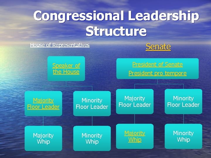 Congressional Leadership Structure Senate House of Representatives President of Senate Speaker of the House