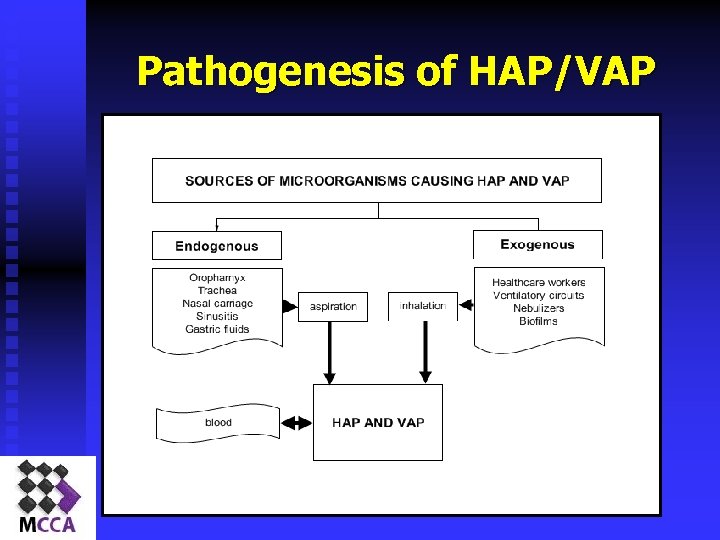 Pathogenesis of HAP/VAP 