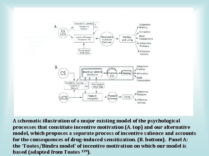 A schematic illustration of a major existing model of the psychological processes that constitute