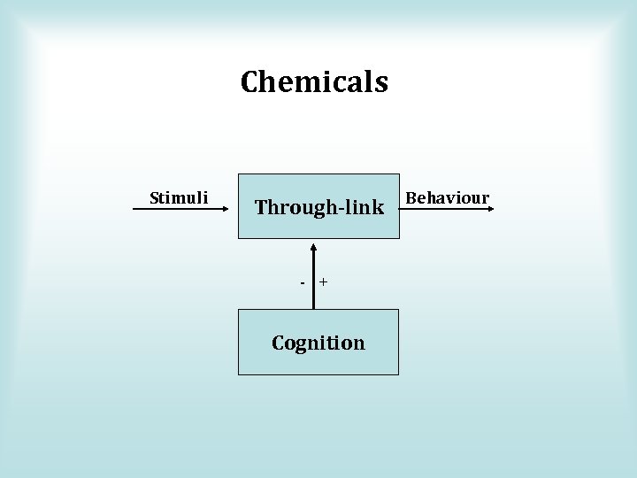 Chemicals Stimuli Through-link - + Cognition Behaviour 