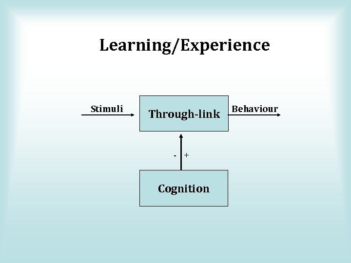 Learning/Experience Stimuli Through-link - + Cognition Behaviour 