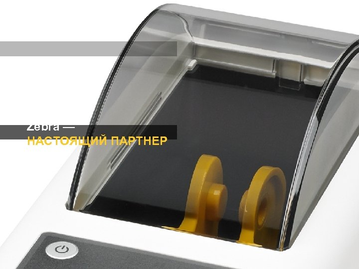 Zebra — НАСТОЯЩИЙ ПАРТНЕР 