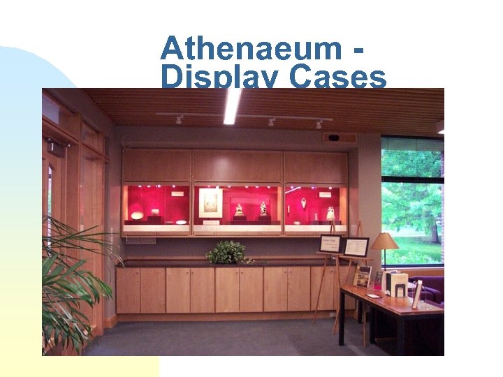 Athenaeum Display Cases 