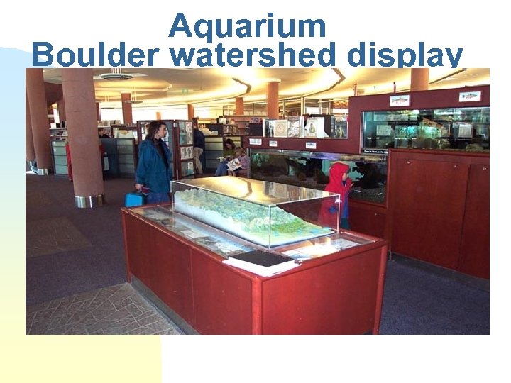 Aquarium Boulder watershed display 