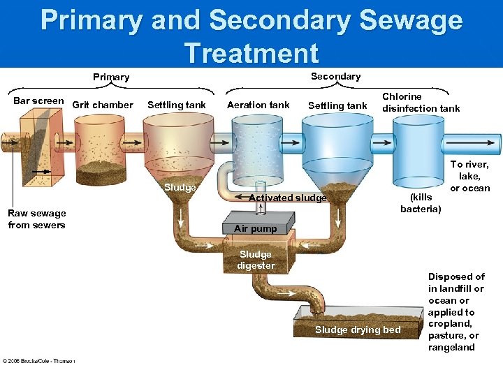 Water Pollution Water Pollution Types Effects and