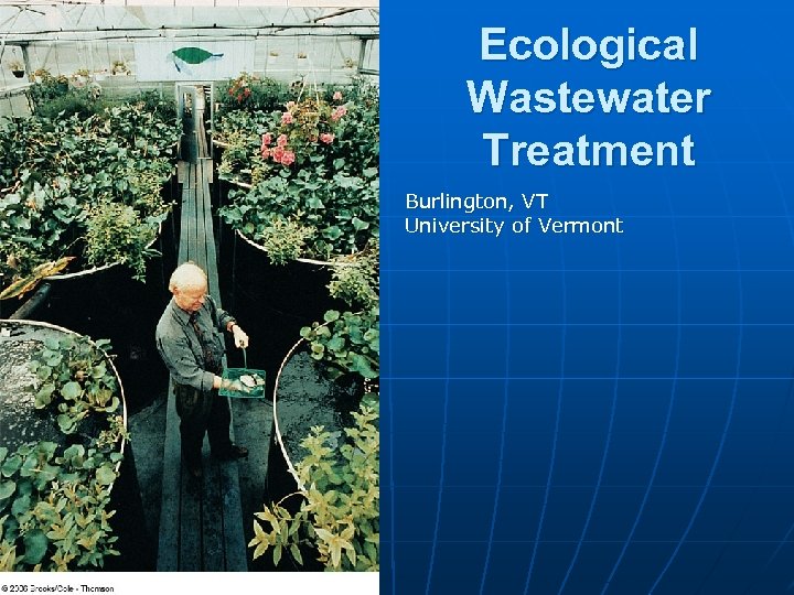 Ecological Wastewater Treatment Burlington, VT University of Vermont 