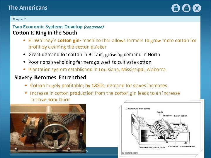 The Americans Chapter 7 Two Economic Systems Develop {continued} Cotton Is King in the