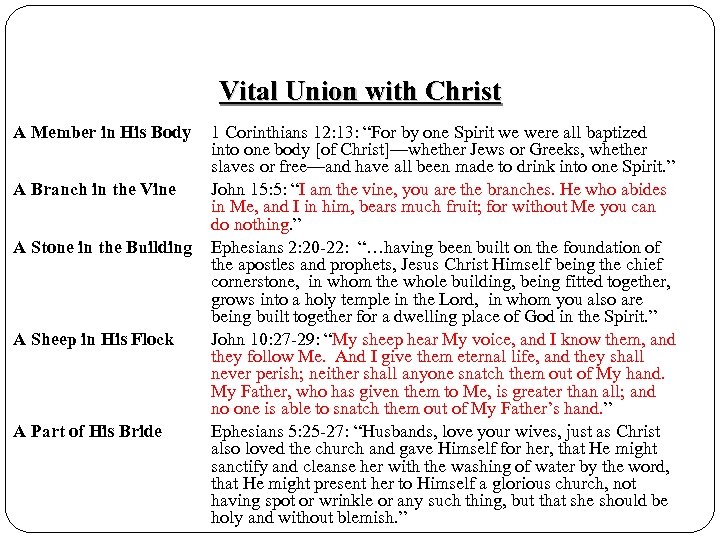 Vital Union with Christ A Member in His Body A Branch in the Vine