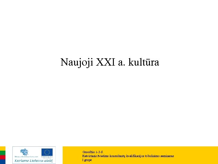 Naujoji XXI a. kultūra Gruodžio 1 -3 d. Ketvirtasis švietimo konsultantų kvalifikacijos tobulinimo seminaras