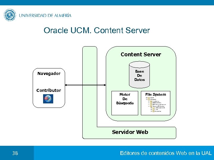 Oracle UCM. Content Server Base De Datos Navegador Contributor Motor De Búsqueda File System