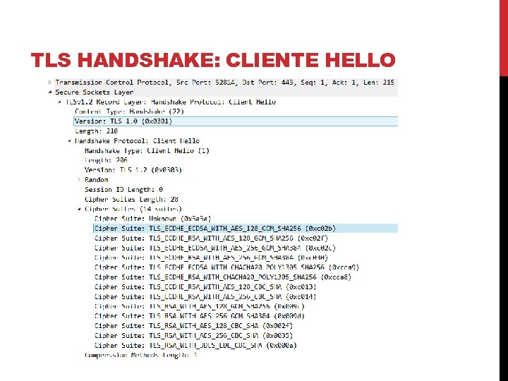 TLS HANDSHAKE: CLIENTE HELLO 