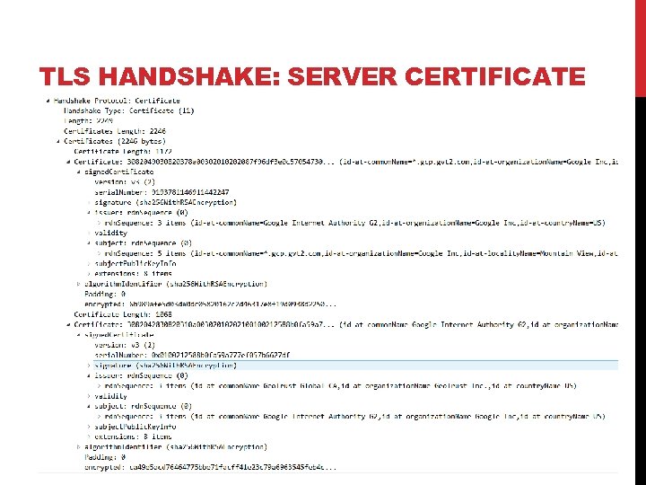 TLS HANDSHAKE: SERVER CERTIFICATE 