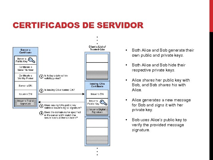 CERTIFICADOS DE SERVIDOR • Both Alice and Bob generate their own public and private