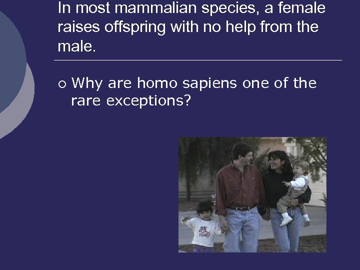 In most mammalian species, a female raises offspring with no help from the male.