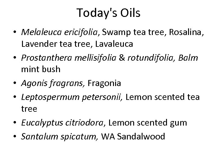 Today's Oils • Melaleuca ericifolia, Swamp tea tree, Rosalina, Lavender tea tree, Lavaleuca •