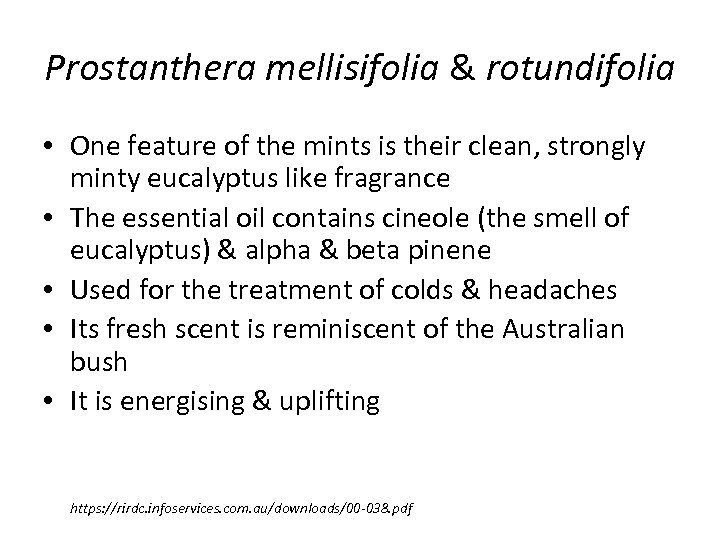 Prostanthera mellisifolia & rotundifolia • One feature of the mints is their clean, strongly