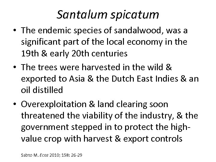 Santalum spicatum • The endemic species of sandalwood, was a significant part of the