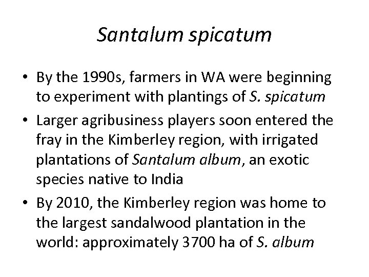 Santalum spicatum • By the 1990 s, farmers in WA were beginning to experiment