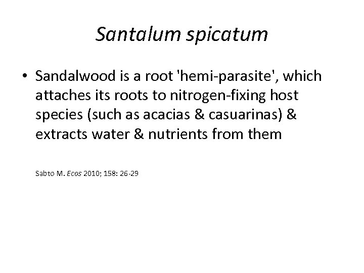 Santalum spicatum • Sandalwood is a root 'hemi-parasite', which attaches its roots to nitrogen-fixing