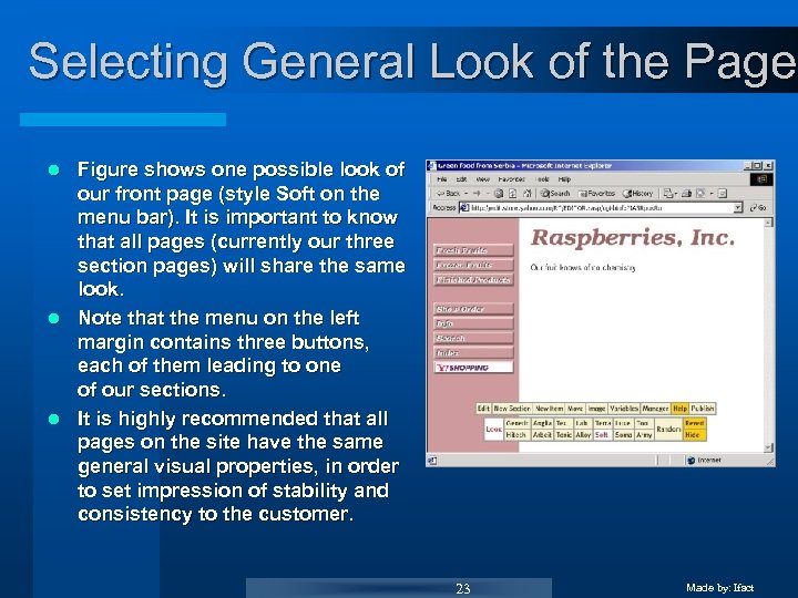 Selecting General Look of the Page Figure shows one possible look of our front