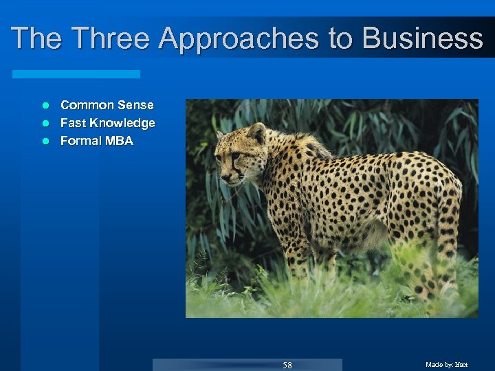 The Three Approaches to Business Common Sense l Fast Knowledge l Formal MBA l