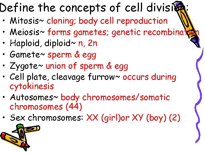 Define the concepts of cell division: • • • Mitosis~ cloning; body cell reproduction