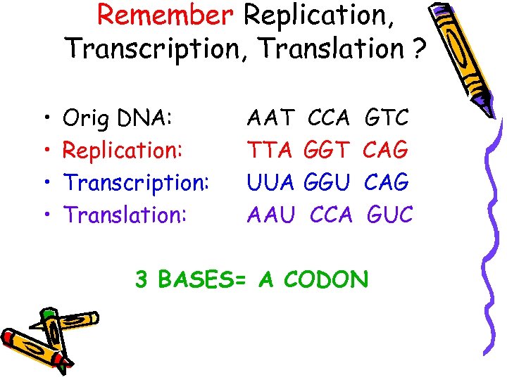 Remember Replication, Transcription, Translation ? • • Orig DNA: Replication: Transcription: Translation: AAT TTA