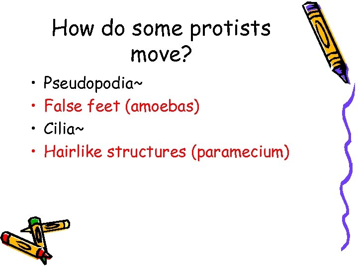 How do some protists move? • • Pseudopodia~ False feet (amoebas) Cilia~ Hairlike structures