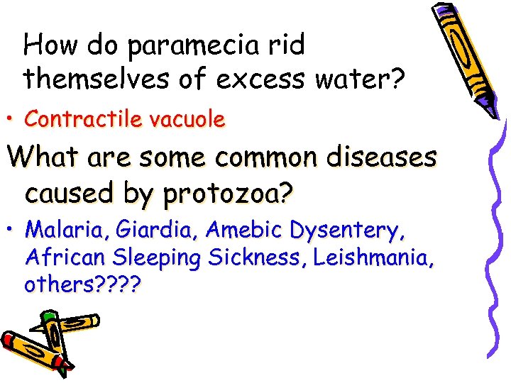 How do paramecia rid themselves of excess water? • Contractile vacuole What are some