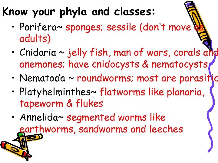 Know your phyla and classes: • Porifera~ sponges; sessile (don’t move as adults) •