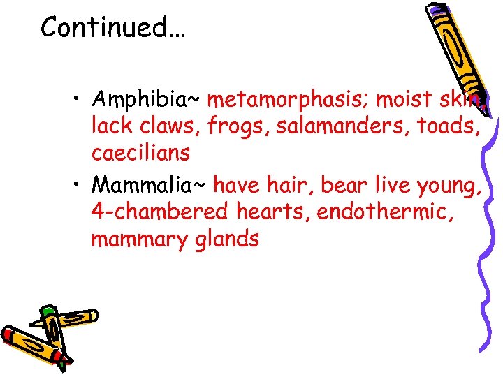 Continued… • Amphibia~ metamorphasis; moist skin, lack claws, frogs, salamanders, toads, caecilians • Mammalia~