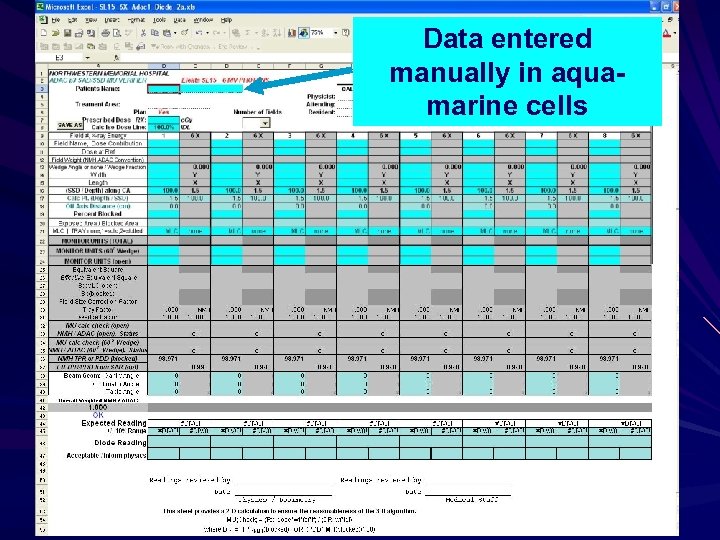 Data entered manually in aquamarine cells 