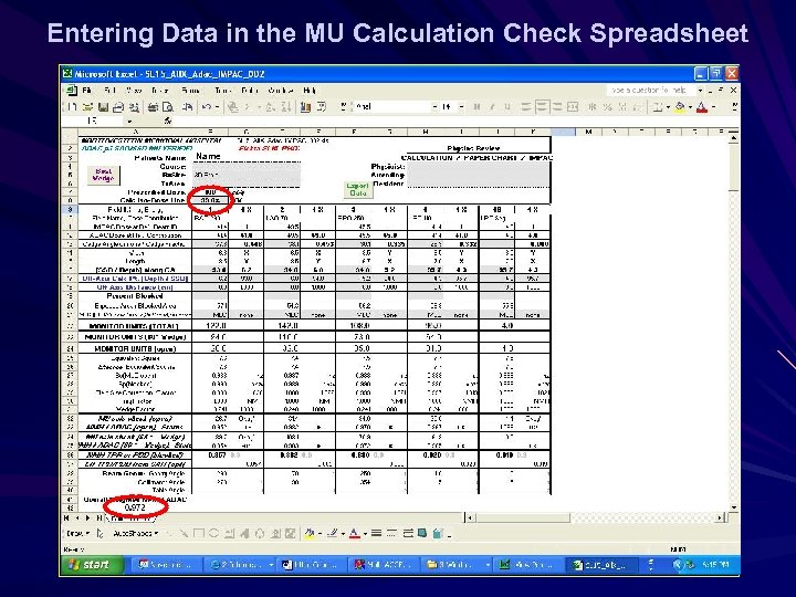 Entering Data in the MU Calculation Check Spreadsheet Name 
