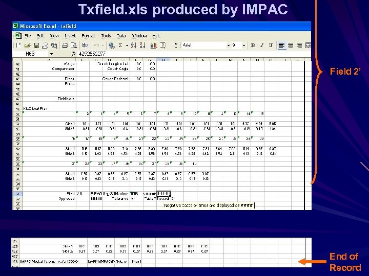 Txfield. xls produced by IMPAC Field 2’ End of Record 