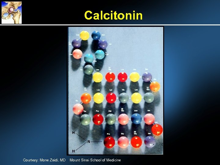 Calcitonin Courtesy: Mone Zaidi, MD Mount Sinai School of Medicine 
