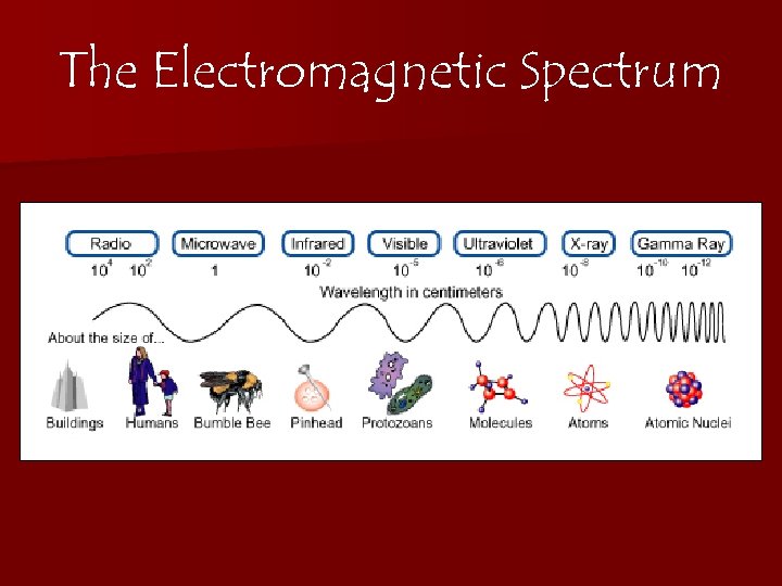 The Electromagnetic Spectrum 