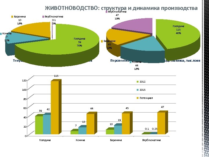 ЖИВОТНОВОДСТВО: структура и динамика производства Верблюжатина Баранина 10 18% 47 19% Верблюжатина 0. 1