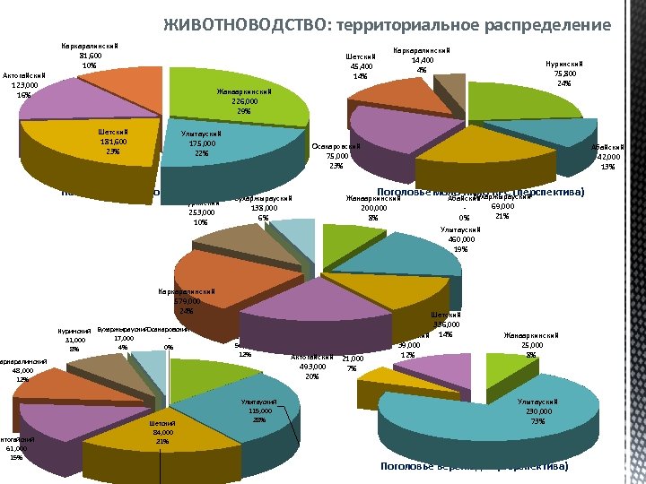 ЖИВОТНОВОДСТВО: территориальное распределение Каркаралинский 81, 600 10% Шетский 45, 400 14% Актогайский 123, 000