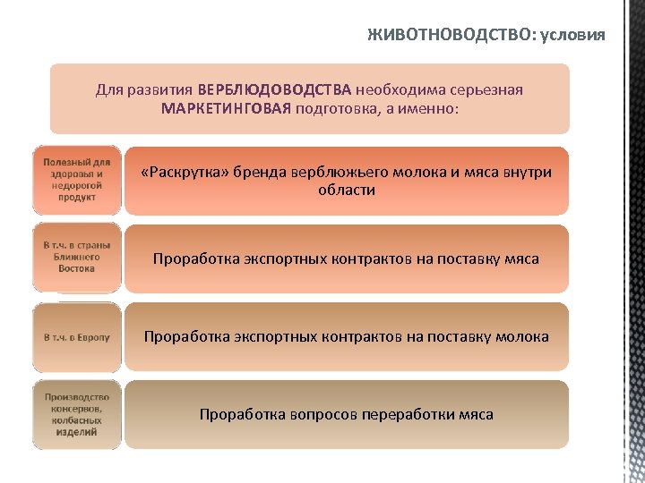 ЖИВОТНОВОДСТВО: условия Для развития ВЕРБЛЮДОВОДСТВА необходима серьезная МАРКЕТИНГОВАЯ подготовка, а именно: «Раскрутка» бренда верблюжьего