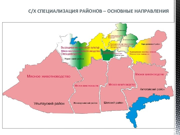С/Х СПЕЦИАЛИЗАЦИЯ РАЙОНОВ – ОСНОВНЫЕ НАПРАВЛЕНИЯ 
