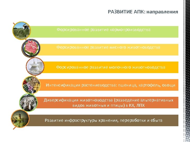 РАЗВИТИЕ АПК: направления Форсированное развитие кормопроизводства Форсированное развитие мясного животноводства Форсированное развитие молочного животноводства