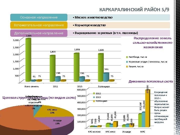 Основное направление • Мясное животноводство Вспомогательное направление • Кормопроизводство Дополнительное направление • Выращивание зерновых