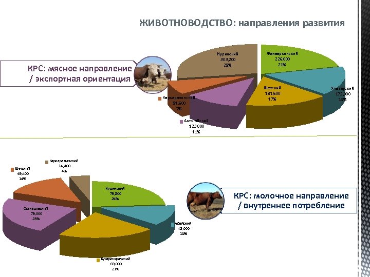 ЖИВОТНОВОДСТВО: направления развития Нуринский 303, 200 28% КРС: мясное направление / экспортная ориентация Каркаралинский