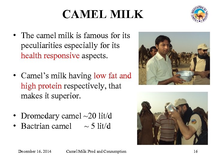 CAMEL MILK • The camel milk is famous for its peculiarities especially for its