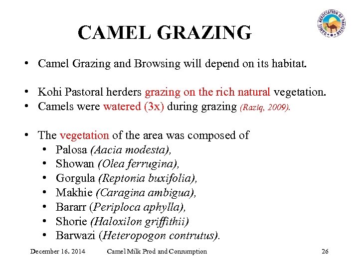 CAMEL GRAZING • Camel Grazing and Browsing will depend on its habitat. • Kohi