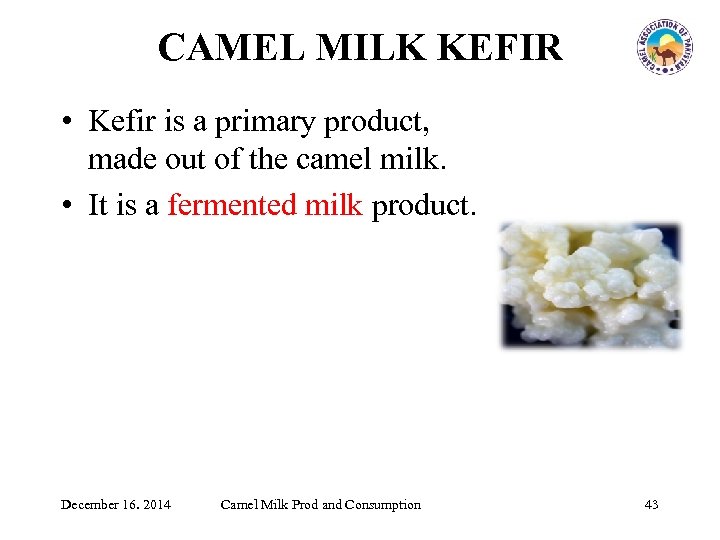 CAMEL MILK KEFIR • Kefir is a primary product, made out of the camel