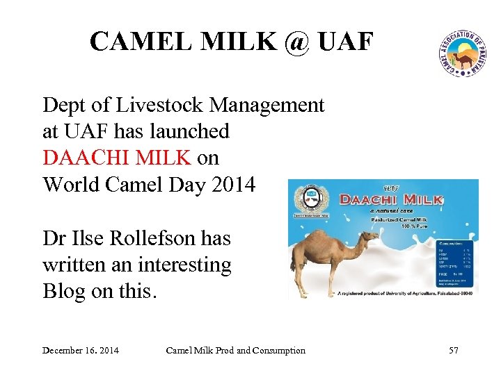 CAMEL MILK @ UAF Dept of Livestock Management at UAF has launched DAACHI MILK