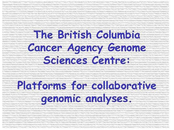 GGAGATTCTGGGCCACTTTGGTTCCCCATGAGCCAAGACGGCACTTCTAATTTGCATTCCCTACCGGAGTCCCTGTAGCCTGGCTTTCAGCTGGTGCCCAAAGTGACAAATGTATCTGCAATGACAAAGGTACCC TGGAAGGGCTCGCCCTCTGCGGAATTTCAGTTCATGCAGGCCTTGGTGCTTCCACATCTGTCCAAGGGCCTTTCAAATGTGACTTTTAACTCTGTGGATTTGCCCGGTTGTCACATTCTGAGCAGCCACAACCTACTGC ATCCCATGTAGAAGTGACCTGATTTTTTCCTGCTTTTCAAGGCTGTATGTTTACATTTGCCTCCAATCATTCCTATGGGAATTCCTTGGGAGTCTAACTTGGAGATTTTGTTTCTTCTGCCTTTGCTCCTGGGGGCT TAATCACTTCTGTGCCTCTGGTTATCTGTGGCACATTTGTCATTAGTCAACCGGAGACTCGGGGTCTGAGTGGAGGGTATGTCCCCCTCCAGTGATGGTTTCTGTTGGCTTCCCAGGGTGAGGATGACTCATGACCA CTTGCAAGTGGTTTTTGTGTCTGGGGTTTATGATCACACAGTCATACACGTTCTAACTCCAGACTGTTGAGAAAGCCTCTGGGTAAGGGAATTCCTGGGAAACACACTGTTTTCATGCATCCTCTGGAAGATGAGGCCT GAAGTTACCAGGGTCTCTGTTTGCTGATGATCCACATTTTCTAGCCCACTCTGCTTCTCTGACACCTTTAGTCTTGAGGATCCATGNTCTGTGAAGGAATCCAAGCTCTCATTTCGCACTCACCTTGGCCCTGGCTC TGTCTCCAGGACCTCTTCTACTACAAAATCCTAAAGCTCTGGGAGCTGGGTGTCAACCTGTGCCCGAGGAAATCATACAGTTACTGTGGACTTTCCAGTTTGCTGTCTTCTAGTATTCCATTGTAGCTCTTGGGTATTTTCCC ATCCACCCCAAGATCCAGCTGGAAATCAGTGAACACACTTGATGGGAGTTTTCCTGCATGTGCTCTGGGCATTGACAGTAGAAGGGTGTTCAGAATGTCTGCTGTGCCCTCATGGAGGAAGAGNGCTCAGTGTACATGCTCTG GGTCAGTAGGTGCCCTTGAGCCCAGCTTTGGGAGCAATGTTGGATGAGTGAAGGAGGGATCCAGGGCAAAGCAGGCACGACAGAGTGGAGACGGCGCTGCTGGCTCTCAGGGGAATGGGCATGGAGTGGGTAGGAGATCCACC TAAGGAGGCTGGCTGGACGAGTCAGGAGCCCCTTCCAAGGGTGGACACTGACAGGCCCCCAGTCTTGGTCTCCTGCATGCCAGAGGTACCAGCCCATCTTTTTTCCTAAACTTGATGACCTAGGGGCATGTTG AATCTCAGCCTCGCCCACTGGCGCTGGACTTGGTACACAGGGTGGGGCAAAGTGGGTACTGGATCCTGATCATCCCTGGGGTGTGGCTTCTTGCTGCACAGTCAGCTTCTAGTTCTGTAGCCCCAGCTGCTCCTGCG GTGGAGCTACACATCAGGCTCTGACCCCCTCCAGGTGGGGCCTTCGCGTGAGGGGAGTCAGCACGCATCAGCAGCTGGGCCCAGGGAGTTGCCCCACTGAGCACTGCGGGCTGACCTGCTCCCAACCAGGGAGATGGAG CTTCCCCCTTGAGTCGGGCTGCTGAAGGGGGGTAGGGGATGGAAACAGTGCGTTTGCAGGAGTAAGGGTGCAGTTGGGTCCCTGCGAGAAAATGTCTCAGTTGTGGCAACTGATTGGTGACCTGGGGGGCGTTTCTGAGCCCA CAGTGCTGGCATCAGGACTCAGGTGTGAGGTGCCCCAGACCCTCCCCTTGCCAGTAATTAGCTGATGGCTCGGTGATGCCCAGGGTGAAGACTTGATTTTGGGAGTTCTCTCGTAATGACACTGAGGATGCCTT